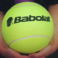 423459_10151052002044209_112054706_n.jpg